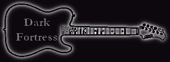 Banner Gitarre Dark Fortress