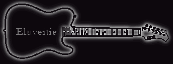 Banner Gitarre Eluveitie