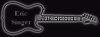 Banner Gitarre Eric Singer