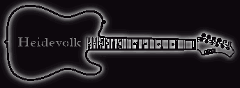Banner Gitarre Heidevolk