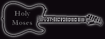Banner Gitarre Holy Moses