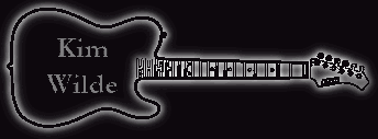 Banner Gitarre Kim Wilde