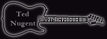 Banner Gitarre Ted Nugent