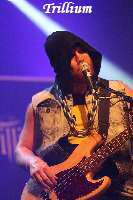 Trillium-17-MFVF10-Hans-Clijnk_thumb Trillium-17-MFVF10-Hans-Clijnk_thumb