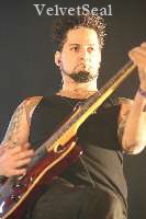 VelvetSeal-09-Hans-Clijnk-MFVF9_thumb VelvetSeal-09-Hans-Clijnk-MFVF9_thumb